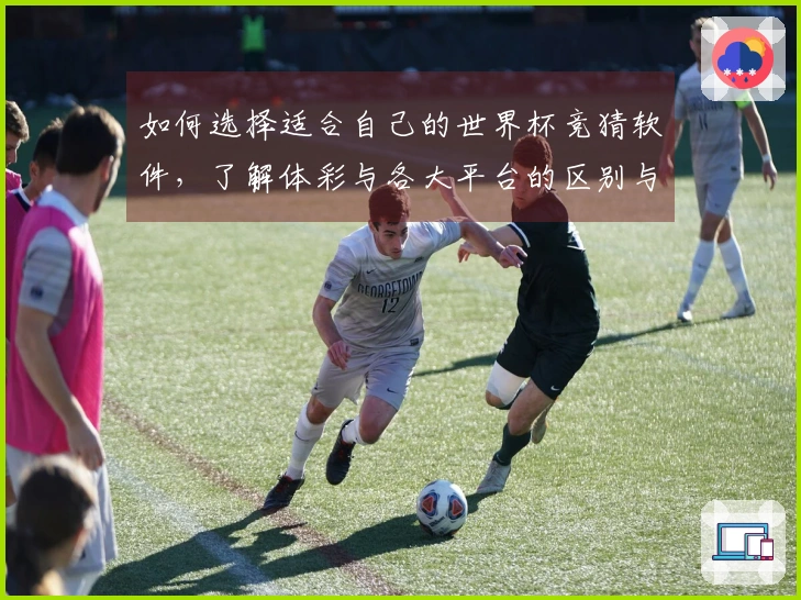 如何选择适合自己的世界杯竞猜软件，了解体彩与各大平台的区别与优势