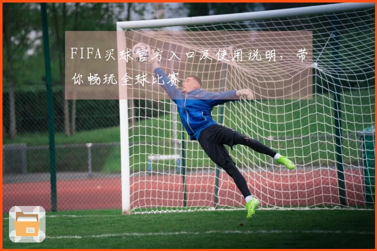 FIFA买球官方入口及使用说明，带你畅玩全球比赛