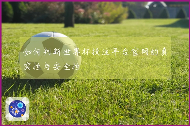 如何判断世界杯投注平台官网的真实性与安全性