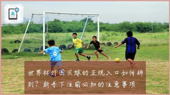 世界杯外围买球的正规入口如何辨别?新手下注前必知的注意事项
