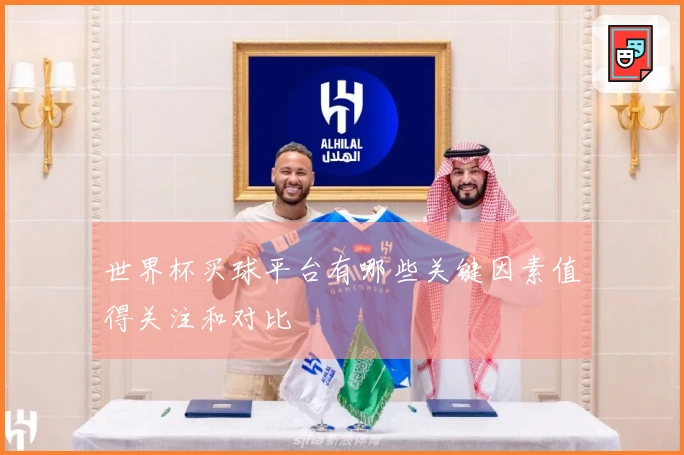 世界杯买球平台有哪些关键因素值得关注和对比