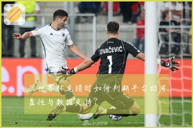 买世界杯竞猜时如何判断平台的可靠性与数据支持？