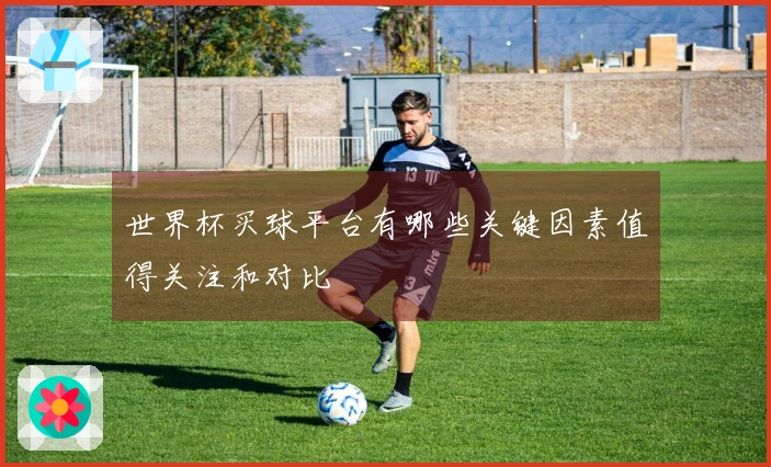 世界杯买球平台有哪些关键因素值得关注和对比