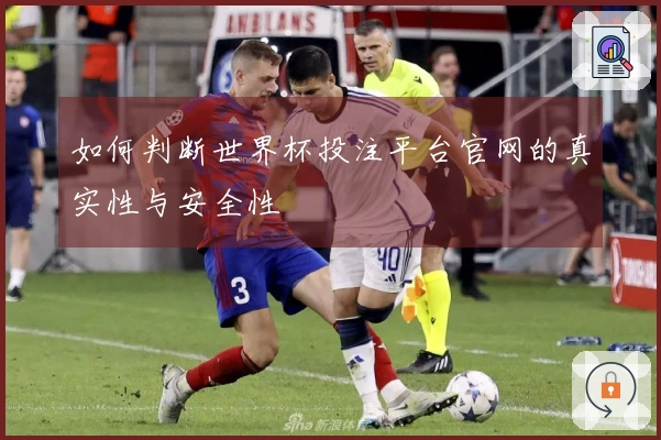 如何判断世界杯投注平台官网的真实性与安全性
