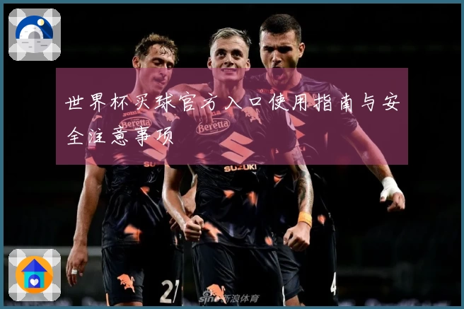 世界杯买球官方入口使用指南与安全注意事项