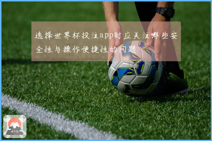 选择世界杯投注app时应关注哪些安全性与操作便捷性的问题