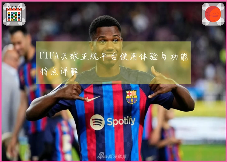 FIFA买球正规平台使用体验与功能特点详解