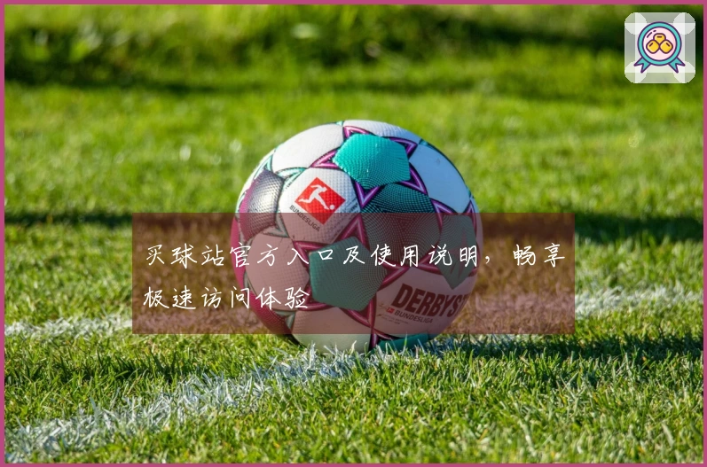 买球站官方入口及使用说明，畅享极速访问体验