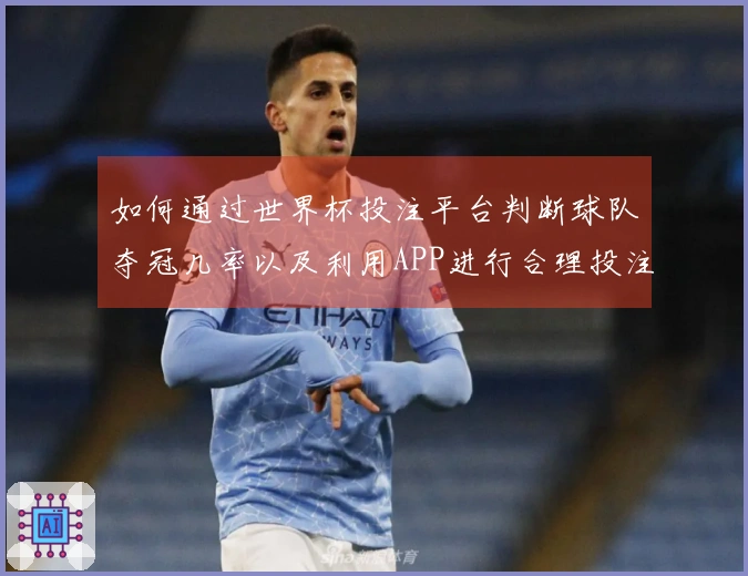 如何通过世界杯投注平台判断球队夺冠几率以及利用APP进行合理投注