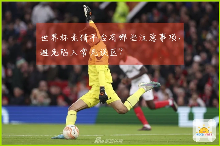 世界杯竞猜平台有哪些注意事项,避免陷入常见误区?