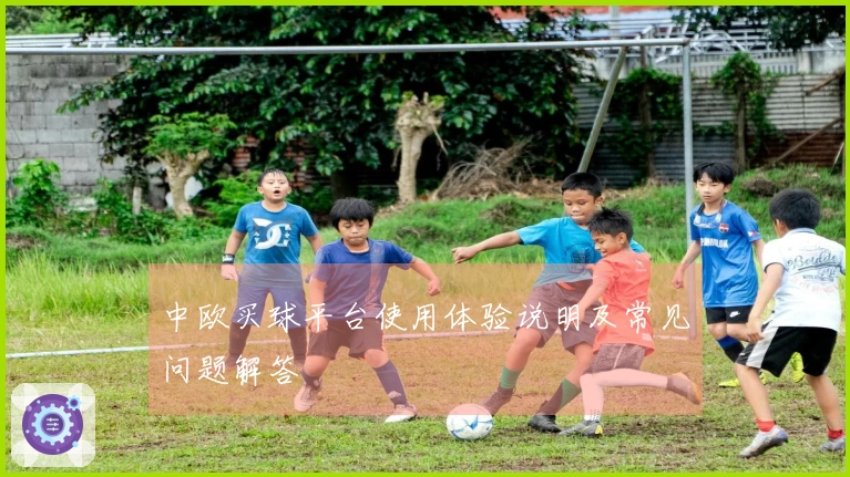 中欧买球平台使用体验说明及常见问题解答