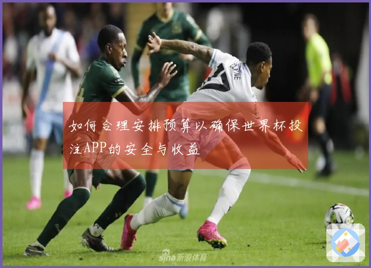 如何合理安排预算以确保世界杯投注APP的安全与收益