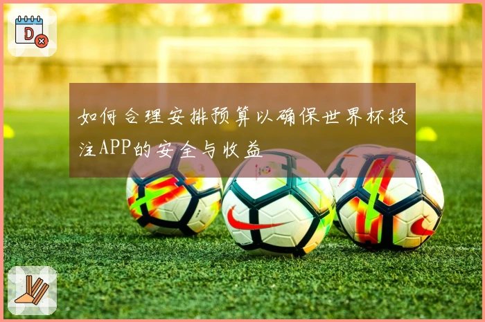 如何合理安排预算以确保世界杯投注APP的安全与收益