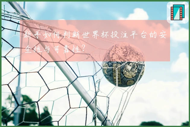 新手如何判断世界杯投注平台的安全性与可靠性？
